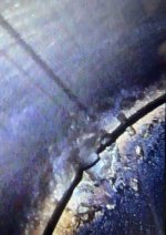 IMG_9877.jpeg