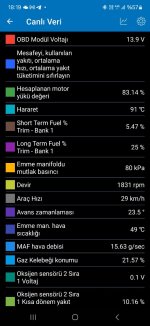 Screenshot_20260106_181903_Car Scanner.jpg